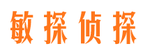 龙马潭寻人公司